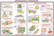 ПС09 Безопасность труда при деревообработке (ламинированная бумага, А2, 5 листов) - Плакаты - Безопасность труда - . Магазин Znakstend.ru